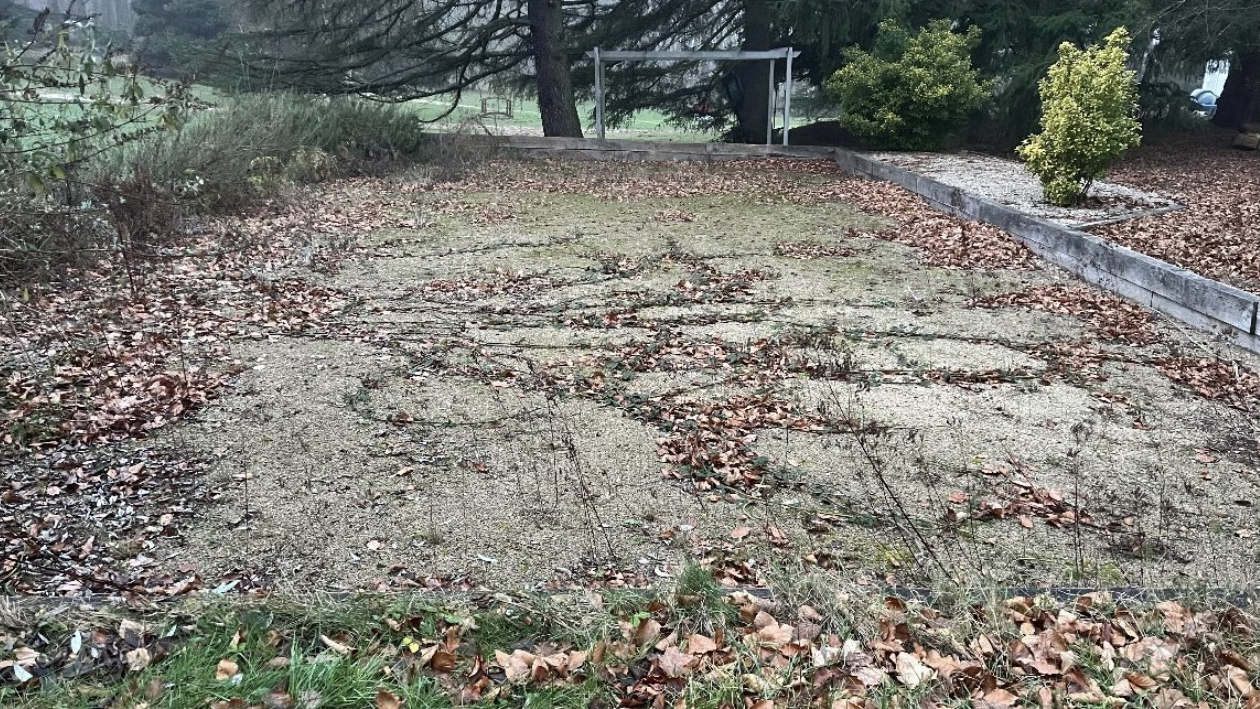 Jardin avant remise en état