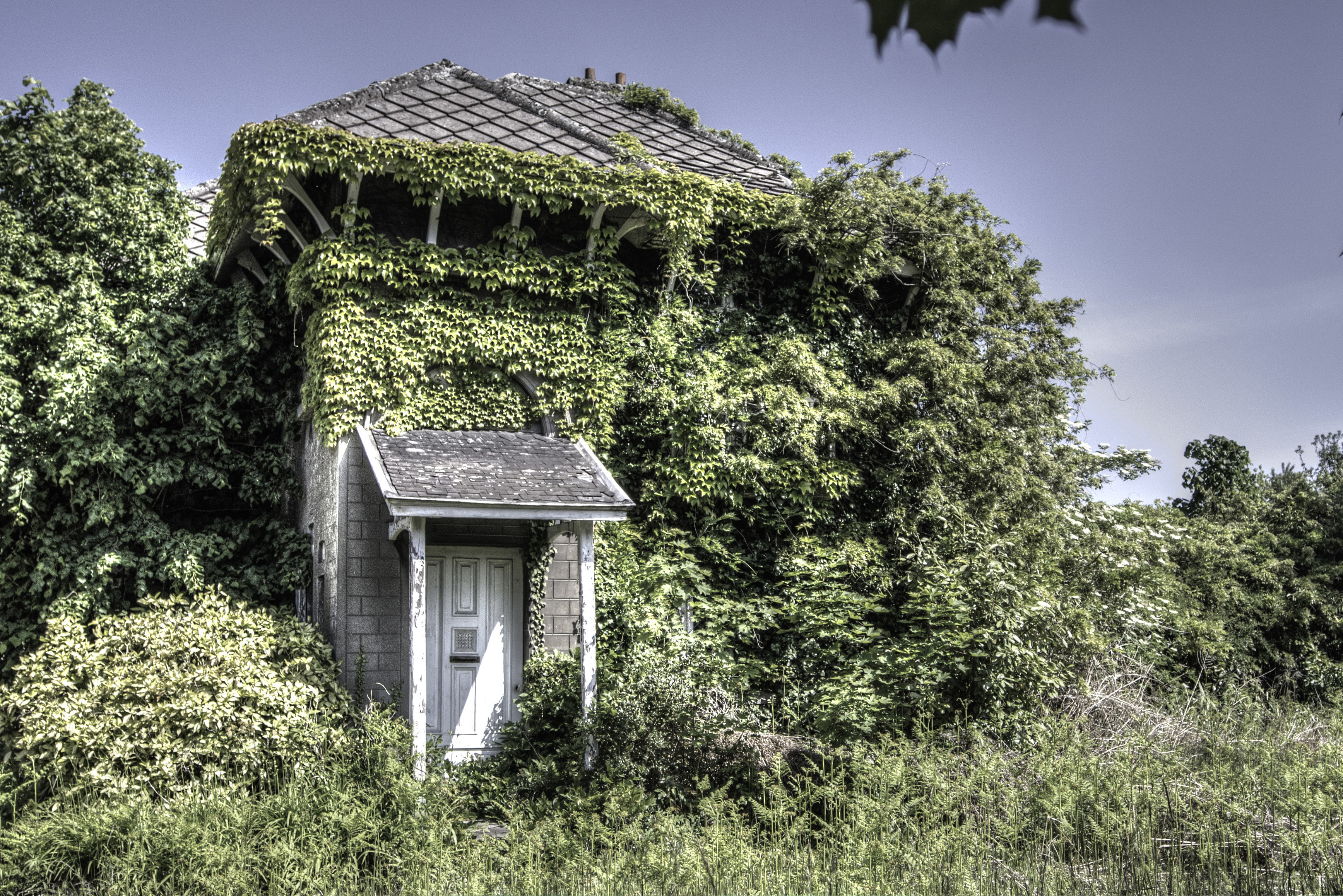 Débroussaillage et nettoyage de jardin